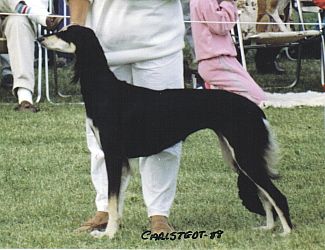 Profile picture of the animal