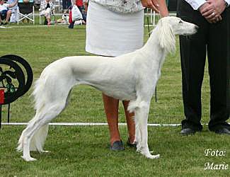 Profile picture of the animal