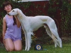 Profile picture of the animal