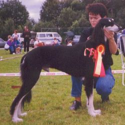 Profile picture of the animal