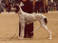 Profile picture of the animal