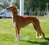 Profile picture of the animal