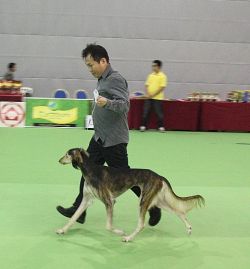 Profile picture of the animal