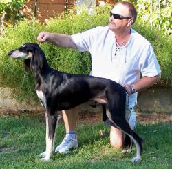 Profile picture of the animal