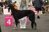 Profile picture of the animal