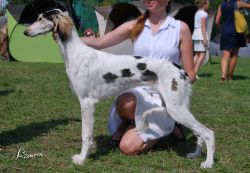 Profile picture of the animal