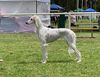 Profile picture of the animal
