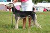 Profile picture of the animal