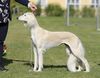 Profile picture of the animal