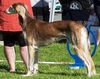 Profile picture of the animal