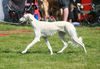 Profile picture of the animal