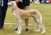 Profile picture of the animal
