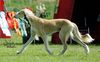 Profile picture of the animal
