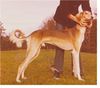 Profile picture of the animal