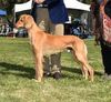 Profile picture of the animal