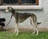Profile picture of the animal