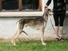 Profile picture of the animal