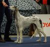 Profile picture of the animal