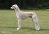 Profile picture of the animal