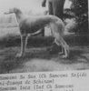 Profile picture of the animal